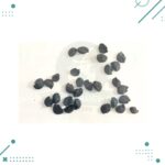 Semillas Cebolla De Verdeo (20 semillas aprox) - Imagen 2