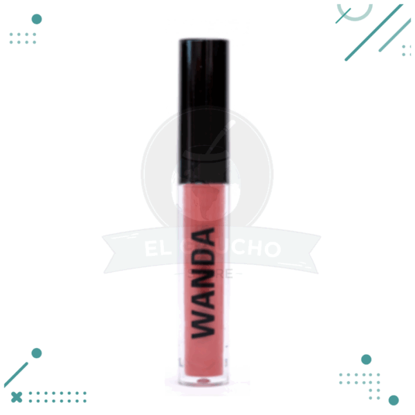 Labial Liquido con Acido Hialuronico Wanda Cosmetics Color Rosa