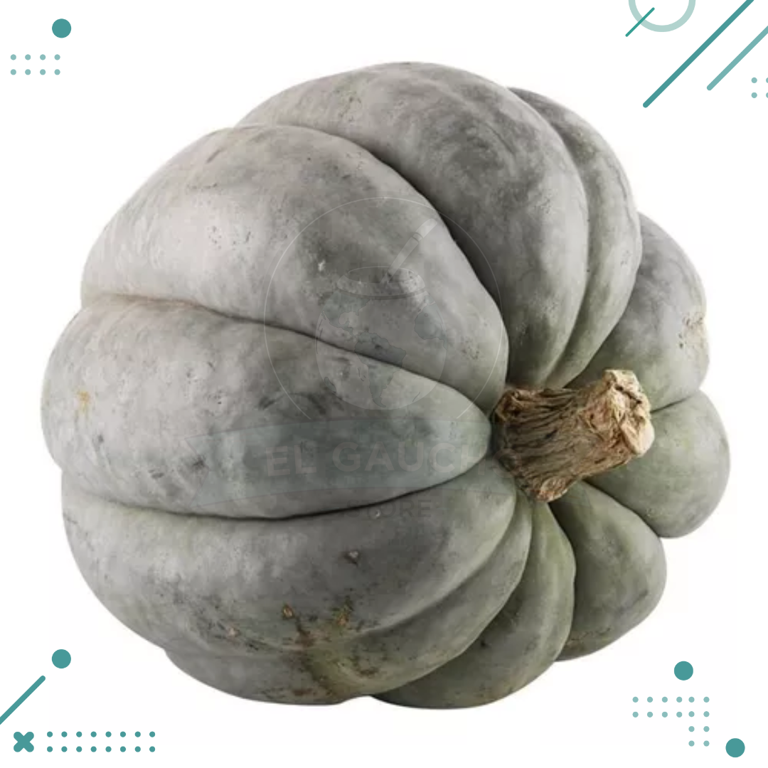 zapallo.png Semillas zapallo gris plomo x10un. - Imagen 1